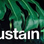 Alpha 311 named one of Europe’s top startups